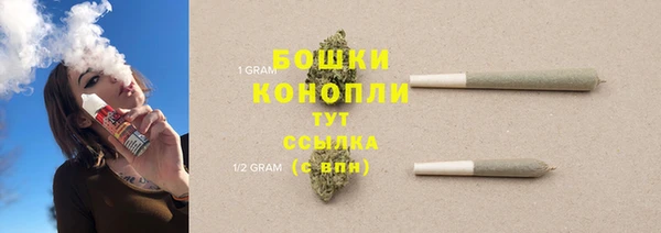 винт Гусиноозёрск