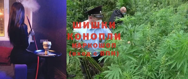 винт Гусиноозёрск