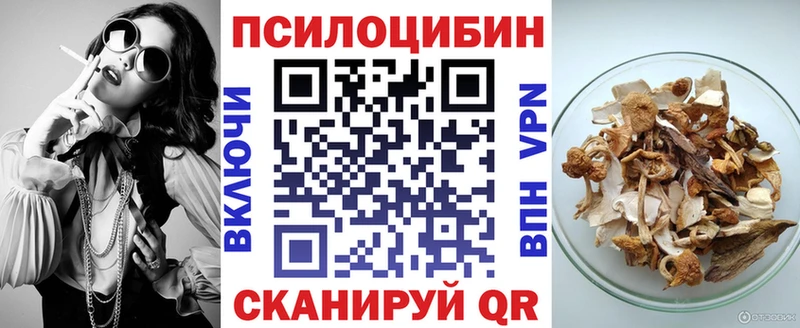 площадка какой сайт  Лянтор  Псилоцибиновые грибы мицелий 